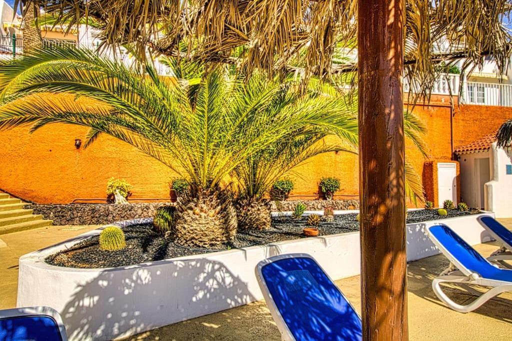 סן מיגל דה אבונה Sand Club Apart Free Wifi מראה חיצוני תמונה